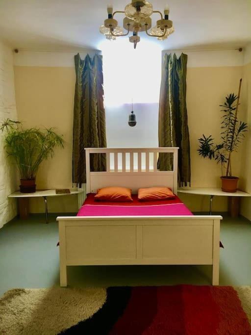 Vintage Studio Apartment, Garden And Free Parking Budapest Eksteriør bilde