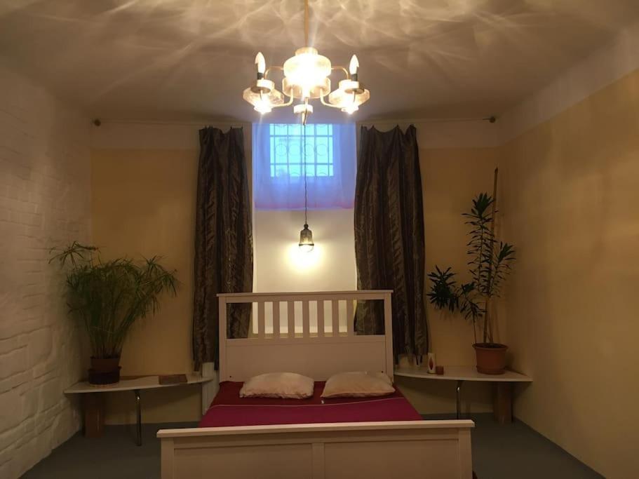 Vintage Studio Apartment, Garden And Free Parking Budapest Eksteriør bilde