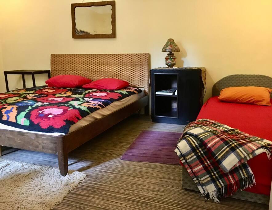 Vintage Studio Apartment, Garden And Free Parking Budapest Eksteriør bilde