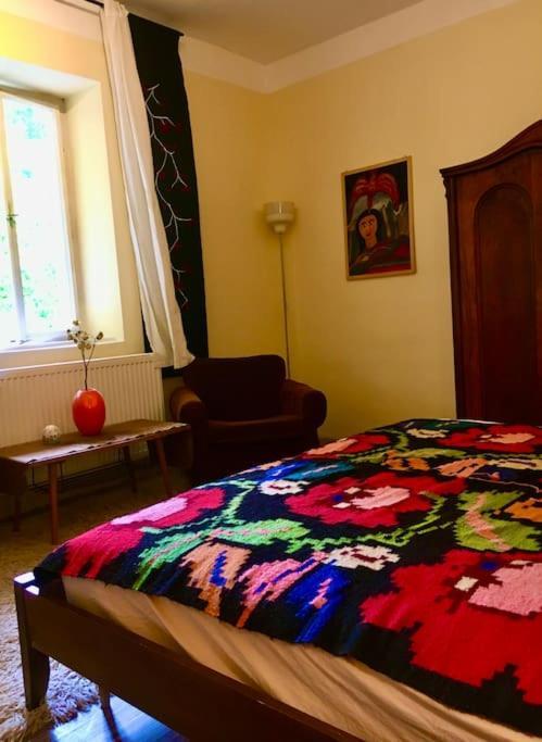 Vintage Studio Apartment, Garden And Free Parking Budapest Eksteriør bilde